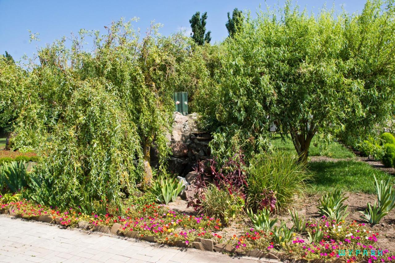 Отель Мелиоратор-Юг Koblevo Exterior photo
